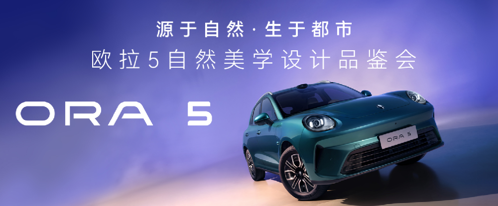 二十九號店-哈弗新能源、歐拉